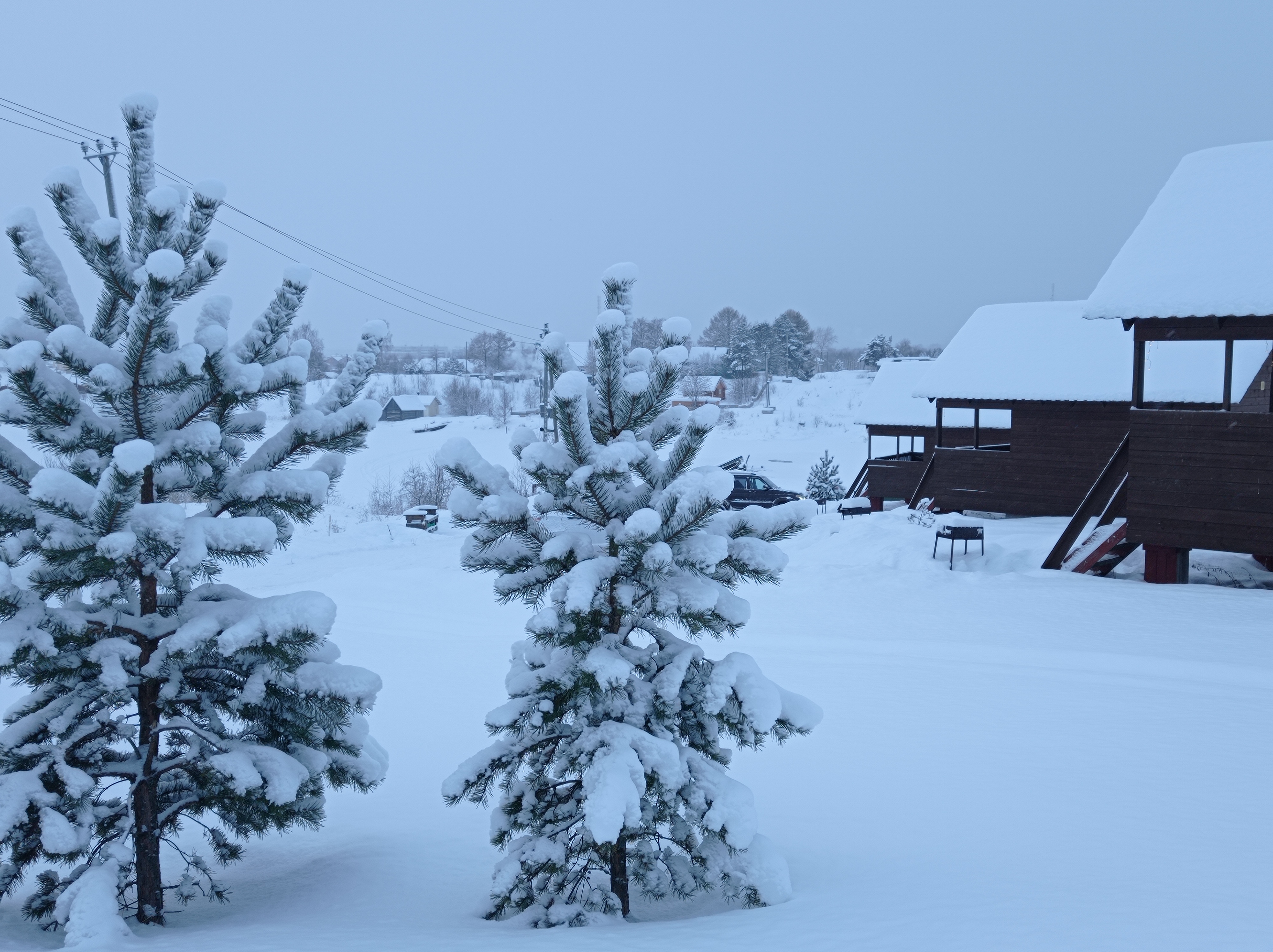 Фото У плотника