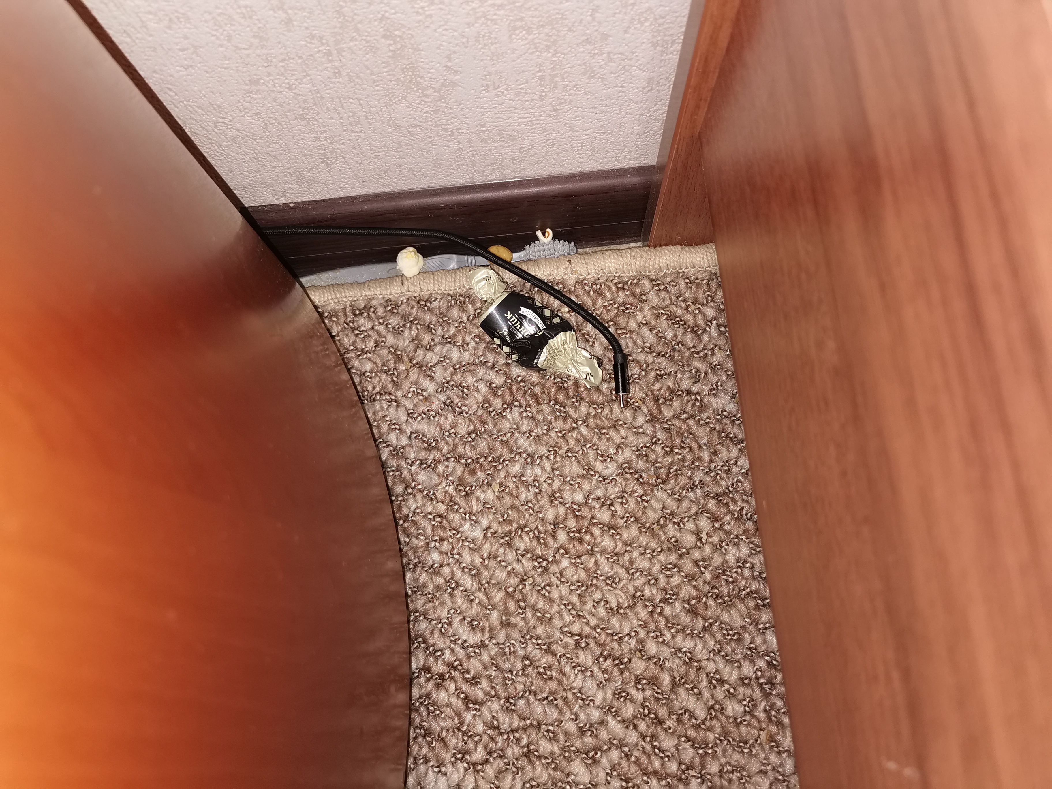 Фото Альбатрос