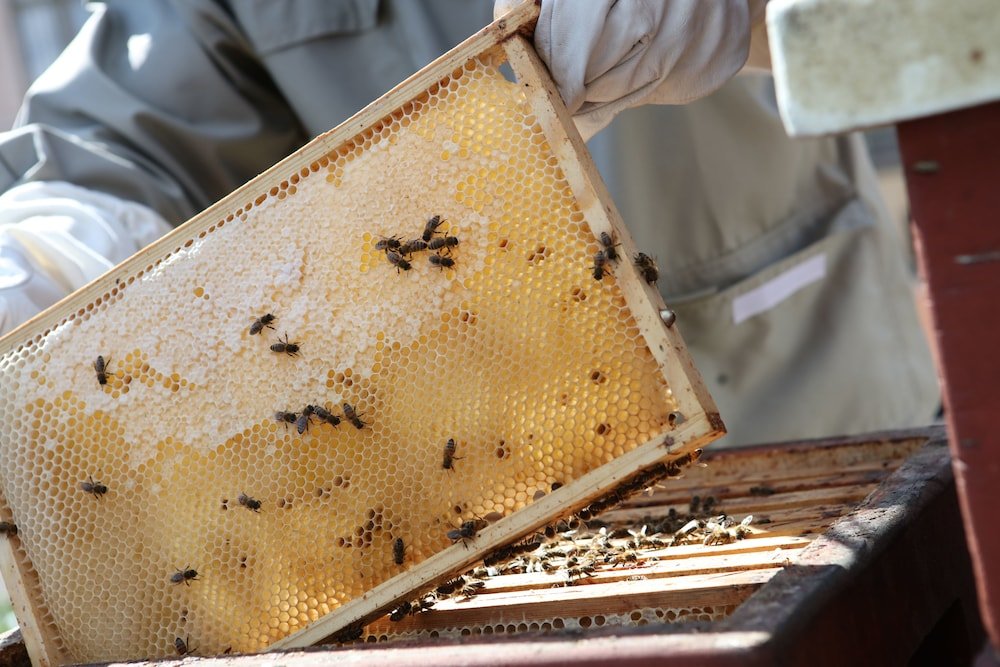 Фото Hilton Stockholm Slussen