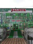 Balnur (Taraz, Ybyraıym Súleımenov kóshesi, 39), plumbing shop