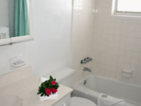 Фото Wave Beach Vacation Rentals