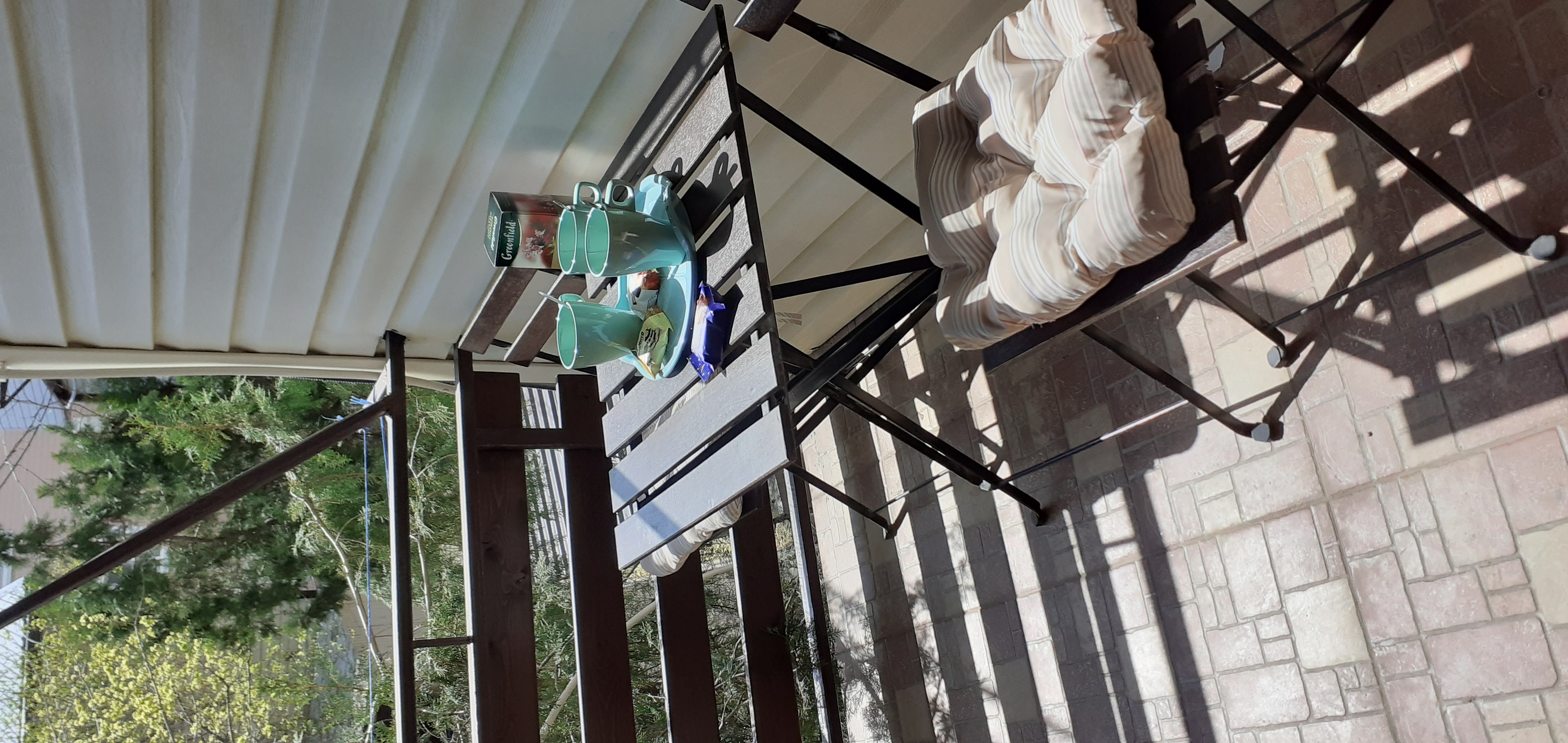 Фото Березка