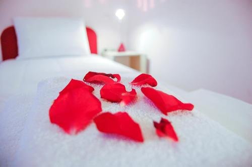 Фото Montenegro Hotel