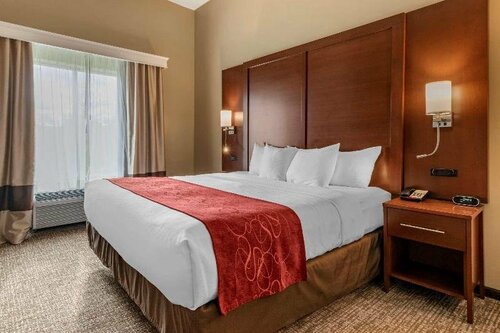 Гостиница Comfort Suites Manheim - Lancaster