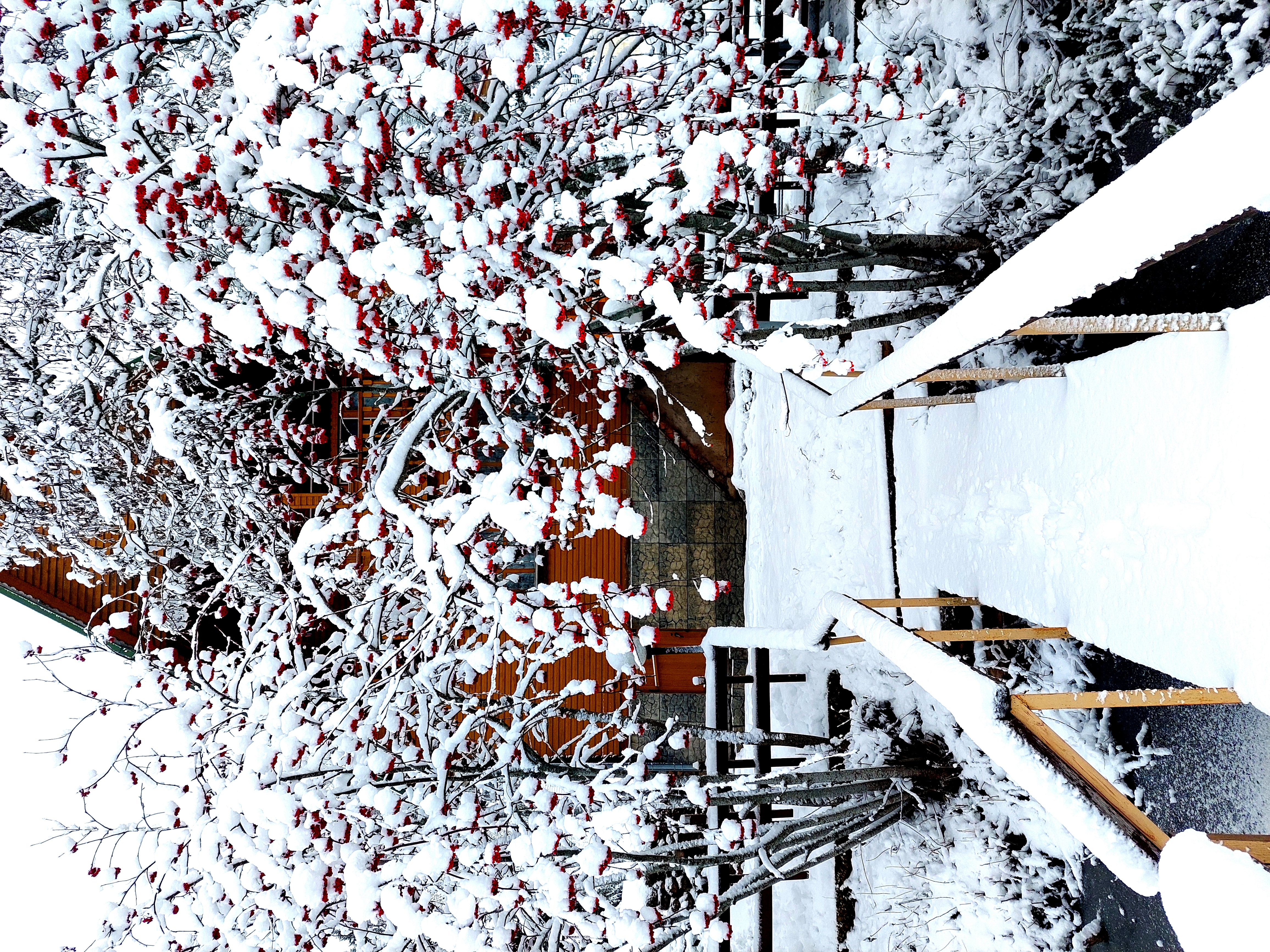 Фото Дома для отдыха Ватцы