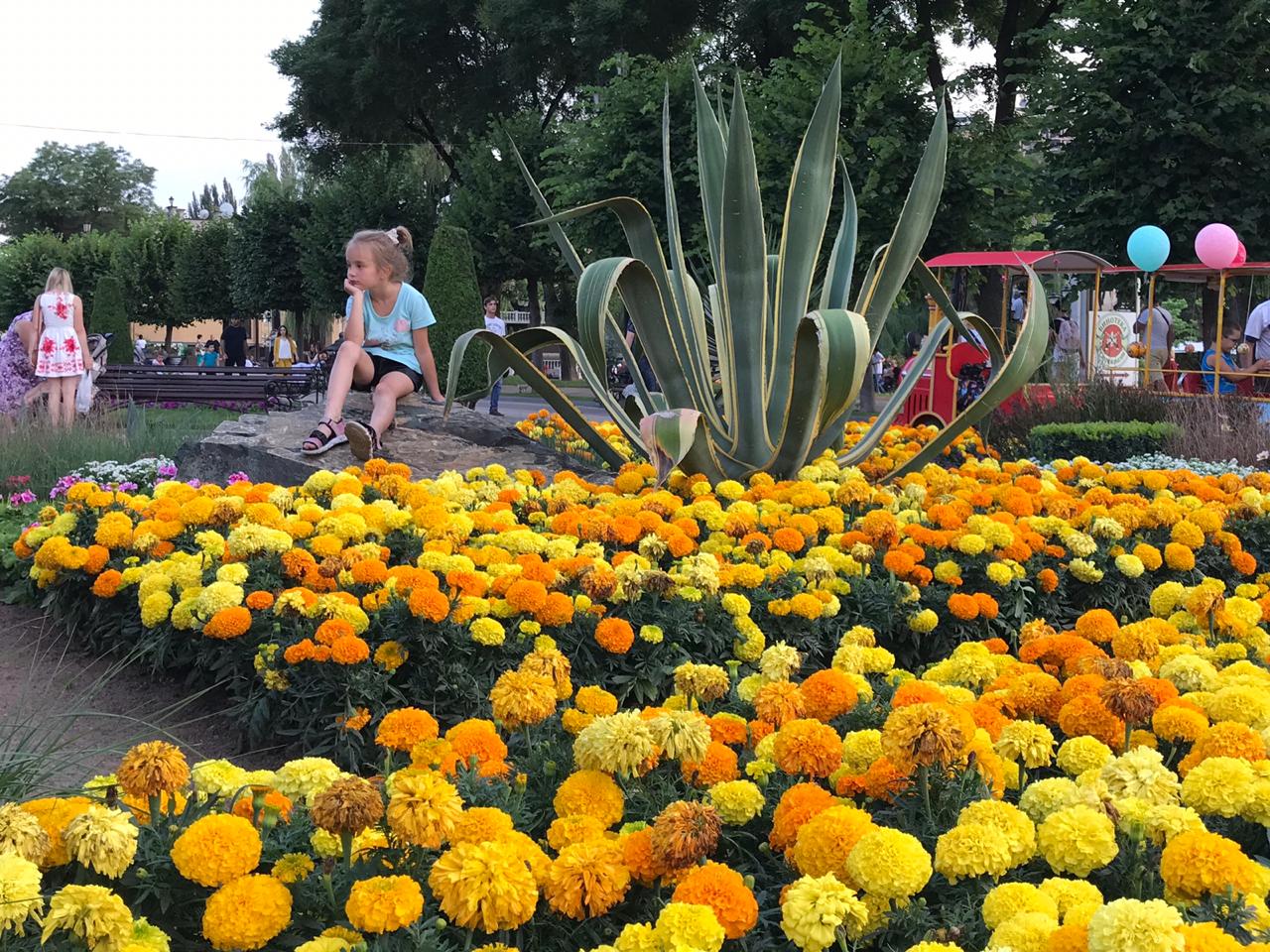 Фото Марсель