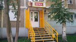 Set magazinov rozlivnogo piva Bochka (Stroiteley Avenue, 28) ، متجر بيع البيرة