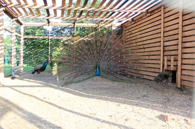 Фото Казантип центр