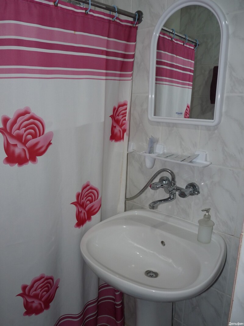 Фото Дельфин