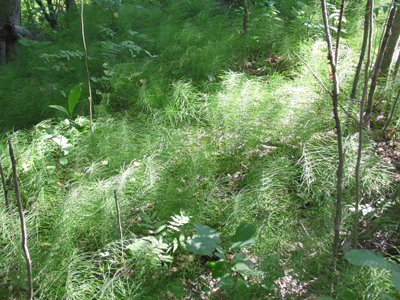 Фото Отдых на Волге