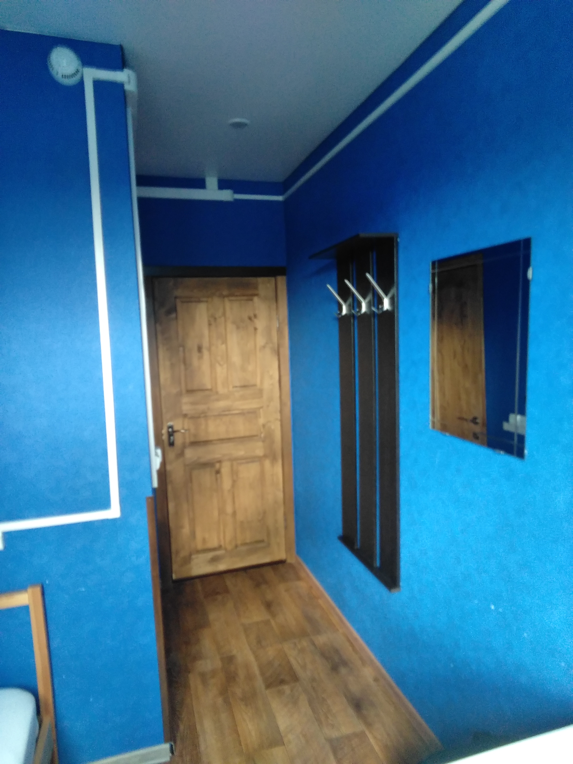 Фото Толстый кот