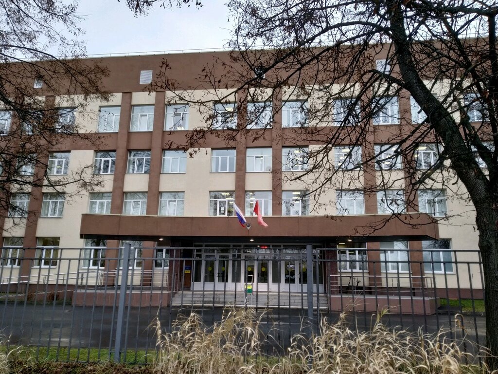 Лицей в санкт петербурге