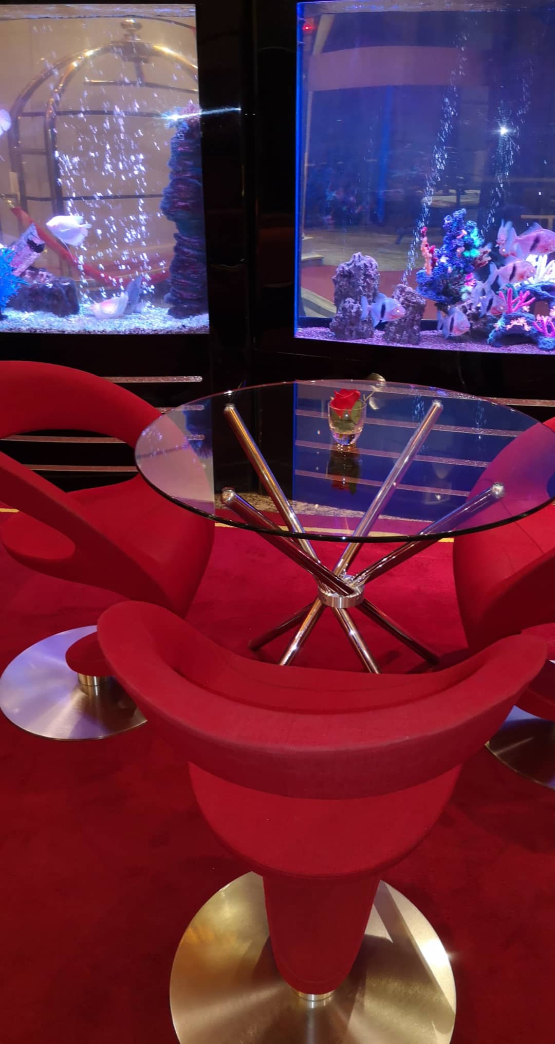 Фото Grand Voyage