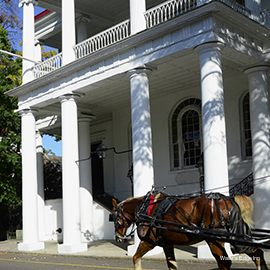 Фото Water's Edge Inn - Adults Only