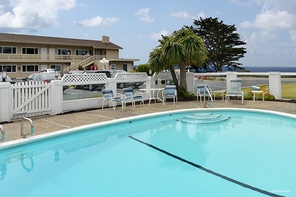 Фото Blue Dolphin Inn