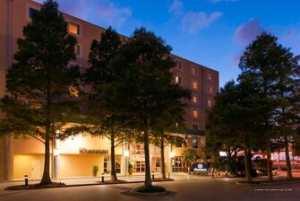 Фото Sheraton Metairie - New Orleans Hotel
