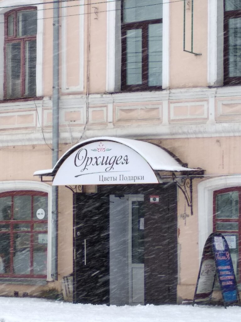 Панорама: Орхидея, парикмахерская, ул. Текстильщиков, 13, Вологда - Яндекс Карты