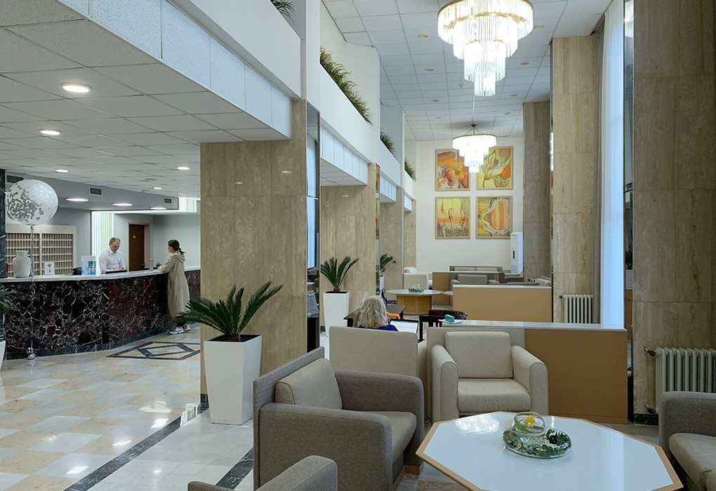 Фото Самшитовая роща