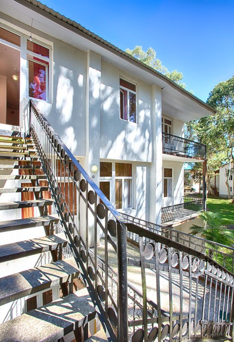 Фото Эвкалиптовая роща