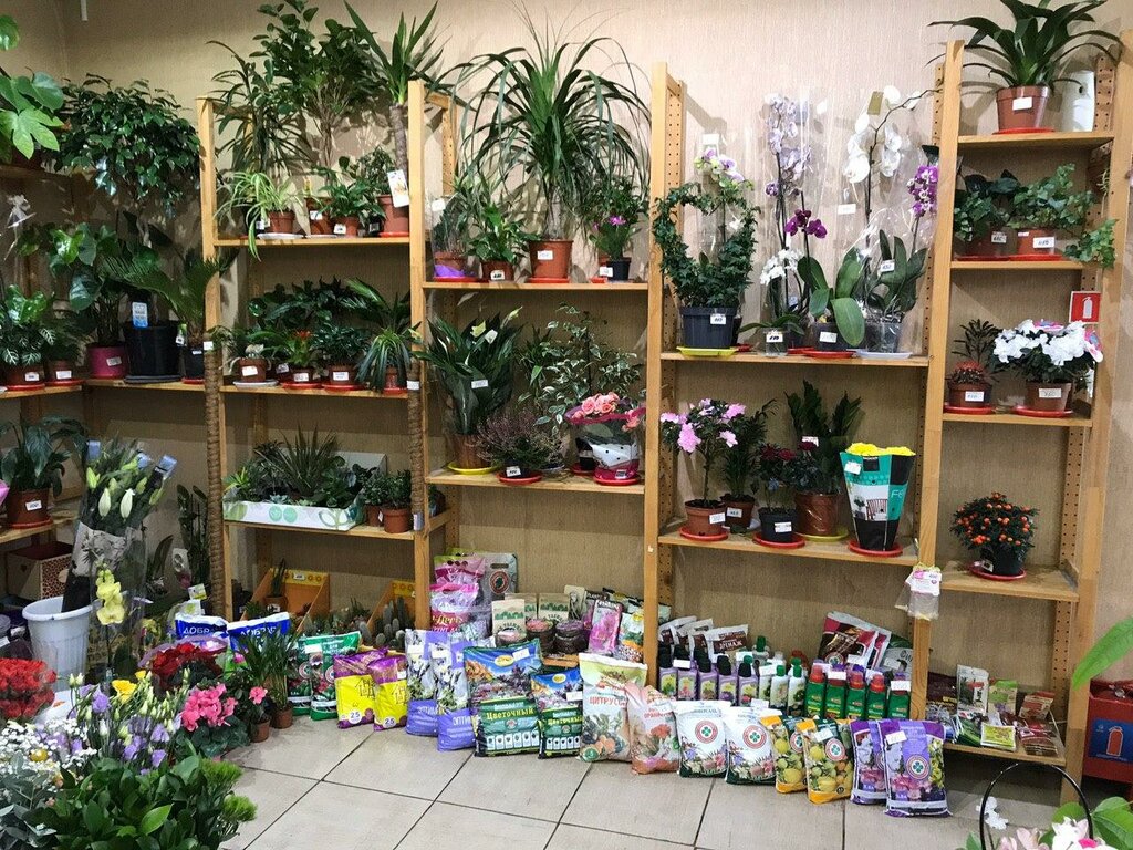 Flower shop Mnogo cvetov, Smolensk, photo
