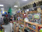 153 Рыбы (posyolok Vinogradny, Zhasminovaya ulitsa, 1Б), fishing gear and supplies