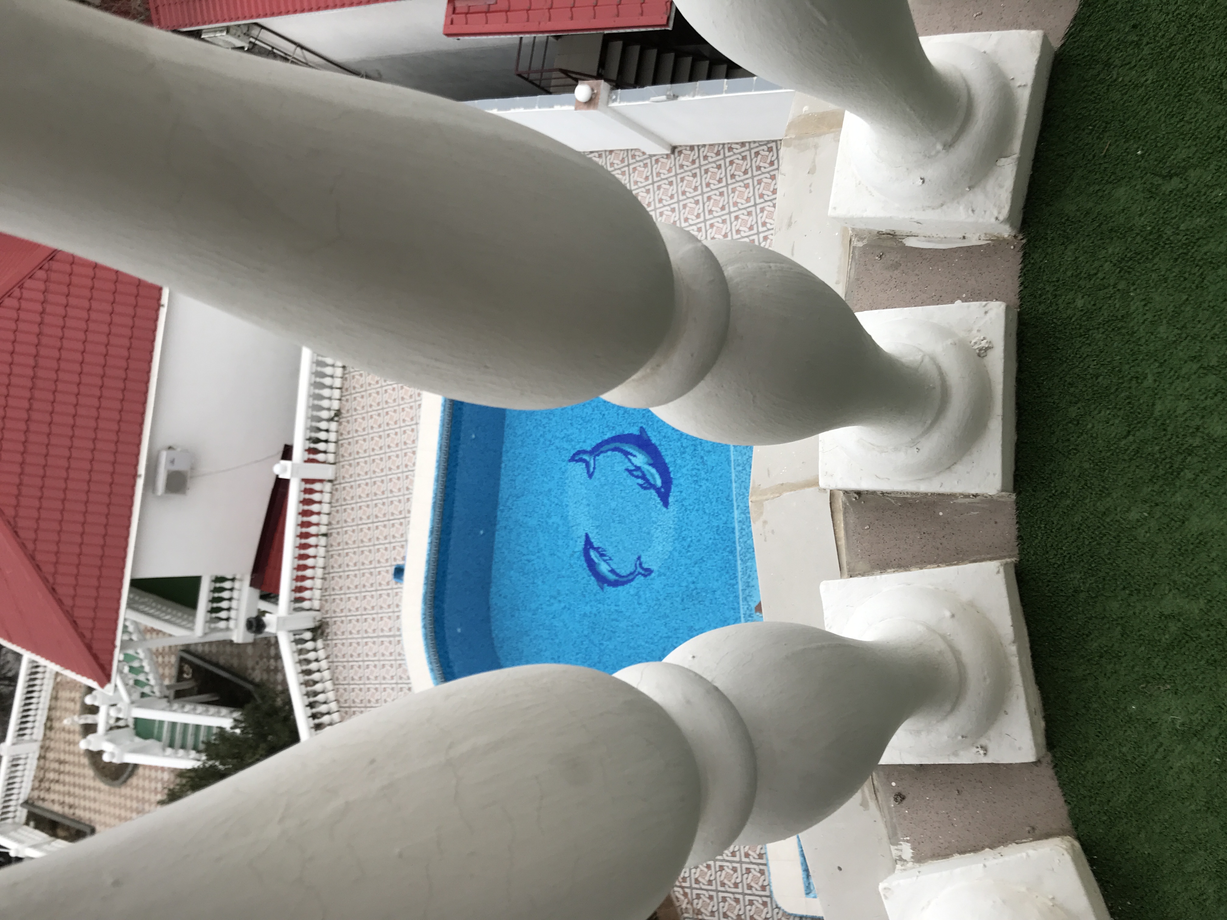 Фото Климентина