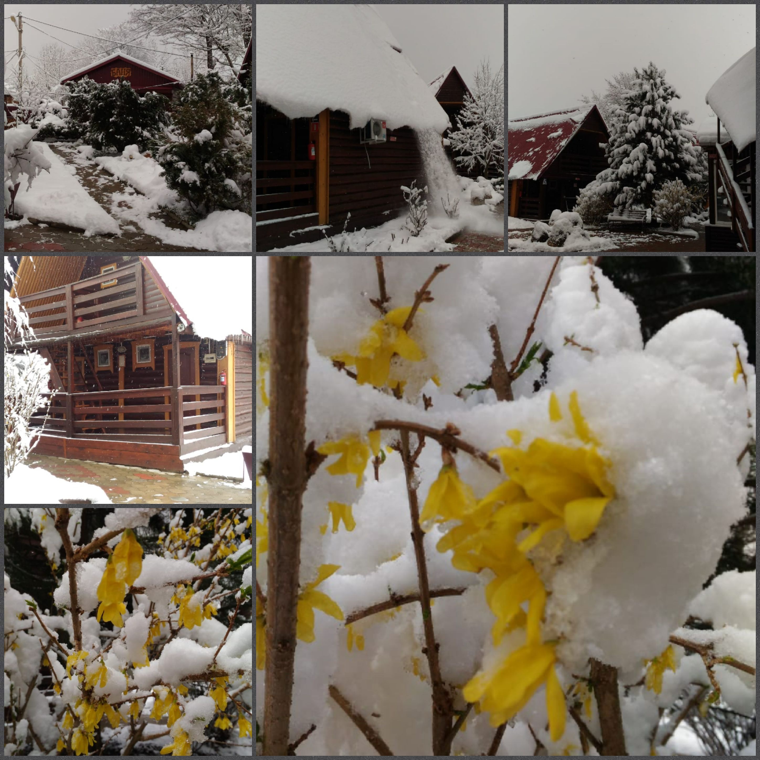 Фото Теремок