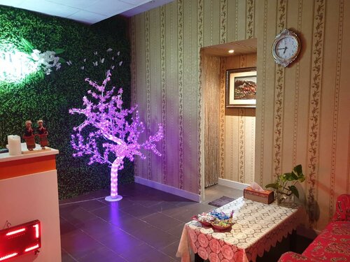 Siam spa 2024