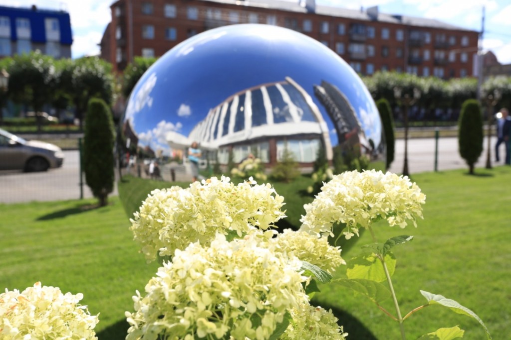 Фото Снежная сова