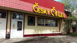 Cesky Lev (ulitsa Mendeleyeva, 10Б), bar, pub