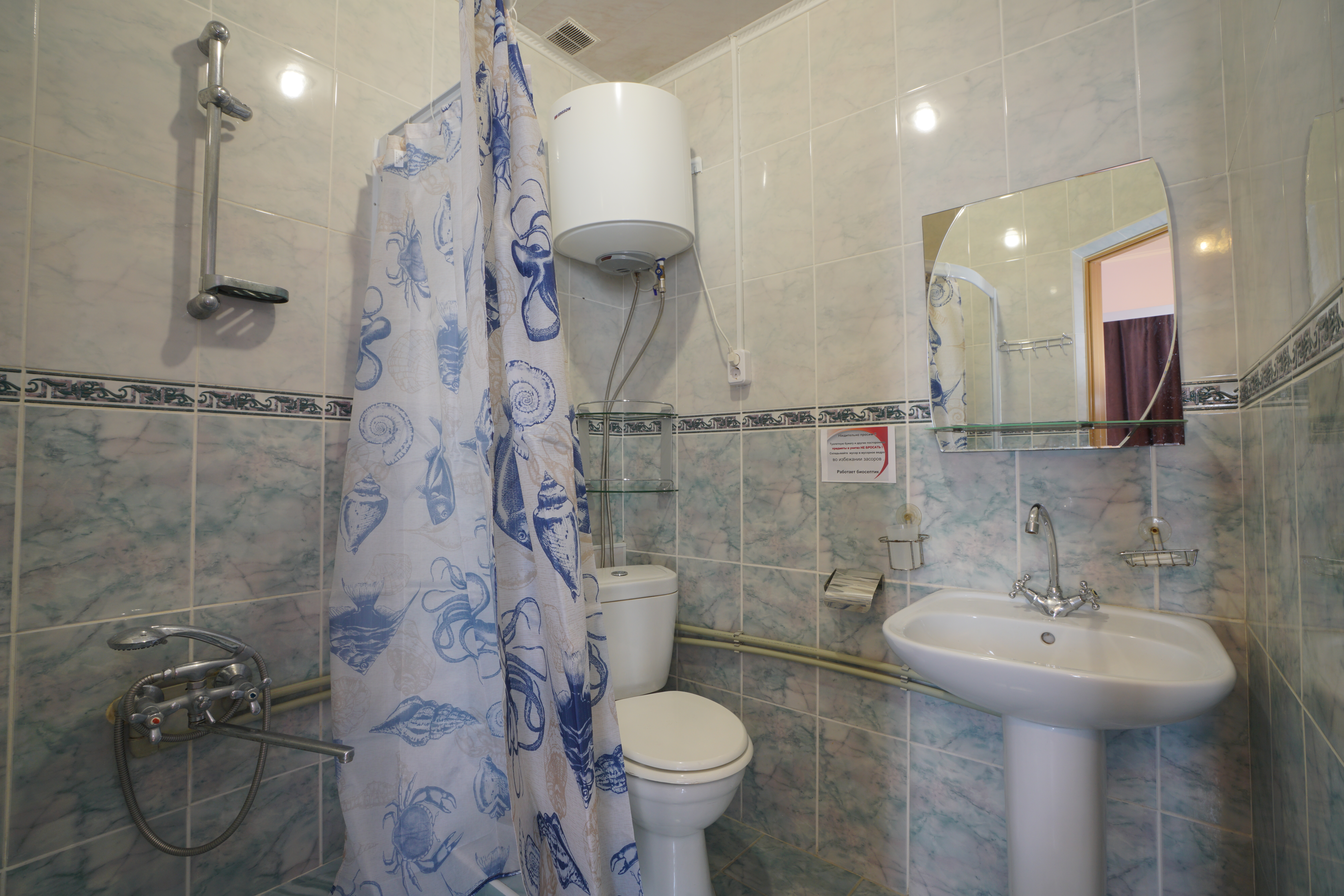 Фото Эдельвейс