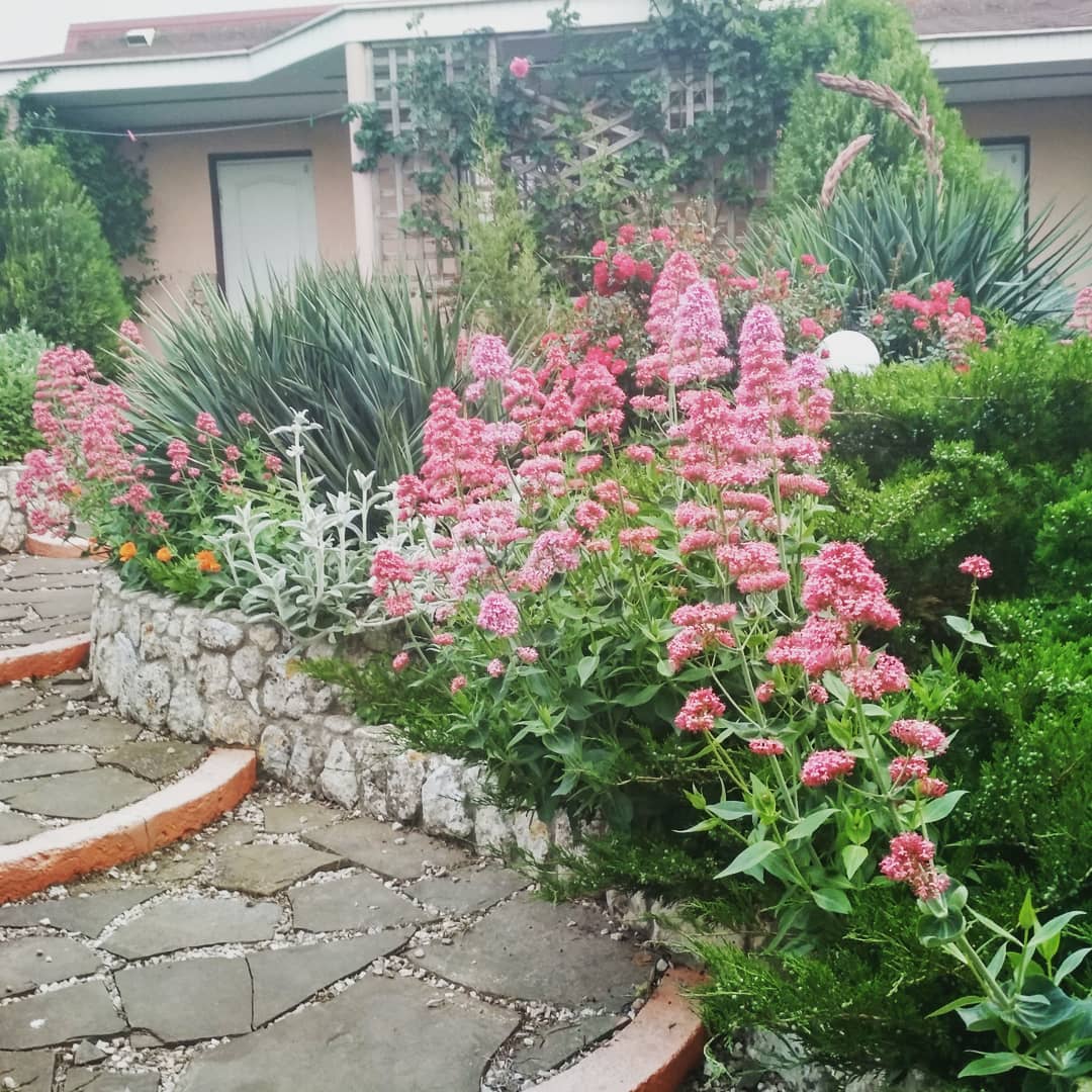 Фото Мелиора