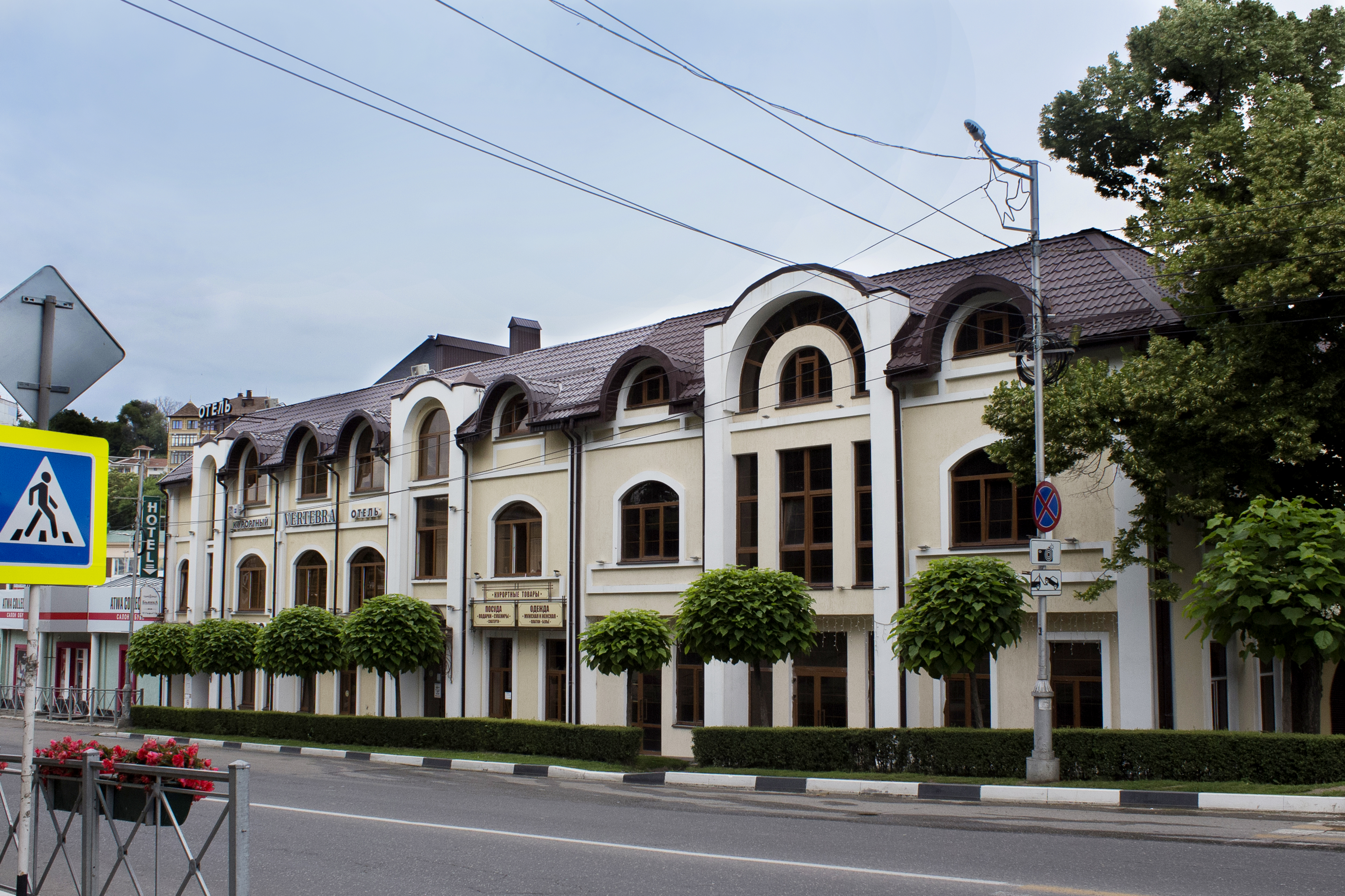 Фото Вертебра