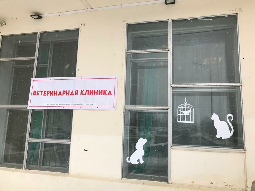 Особенности ветеринарной клиники Ветеринарная поликлиника в Шелехове, проспект С