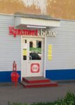 Krasnoe&Beloe (Lenina Street, 34) ، محل بقالة