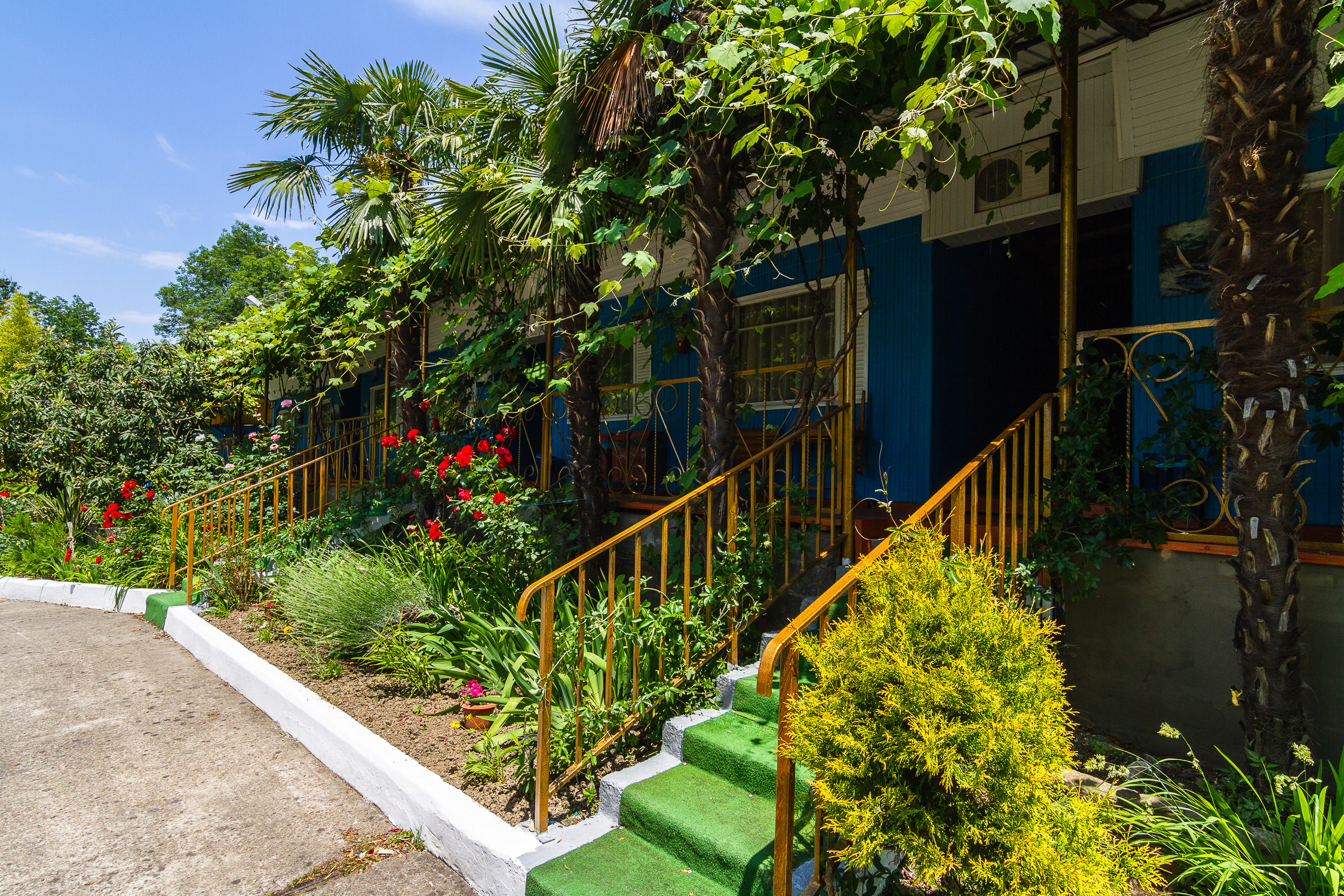 Фото Горизонт