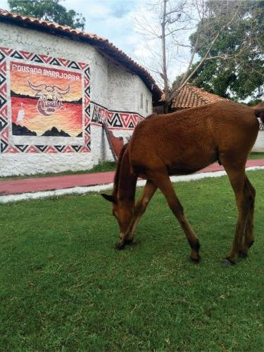 Фото Pousada Marajoara