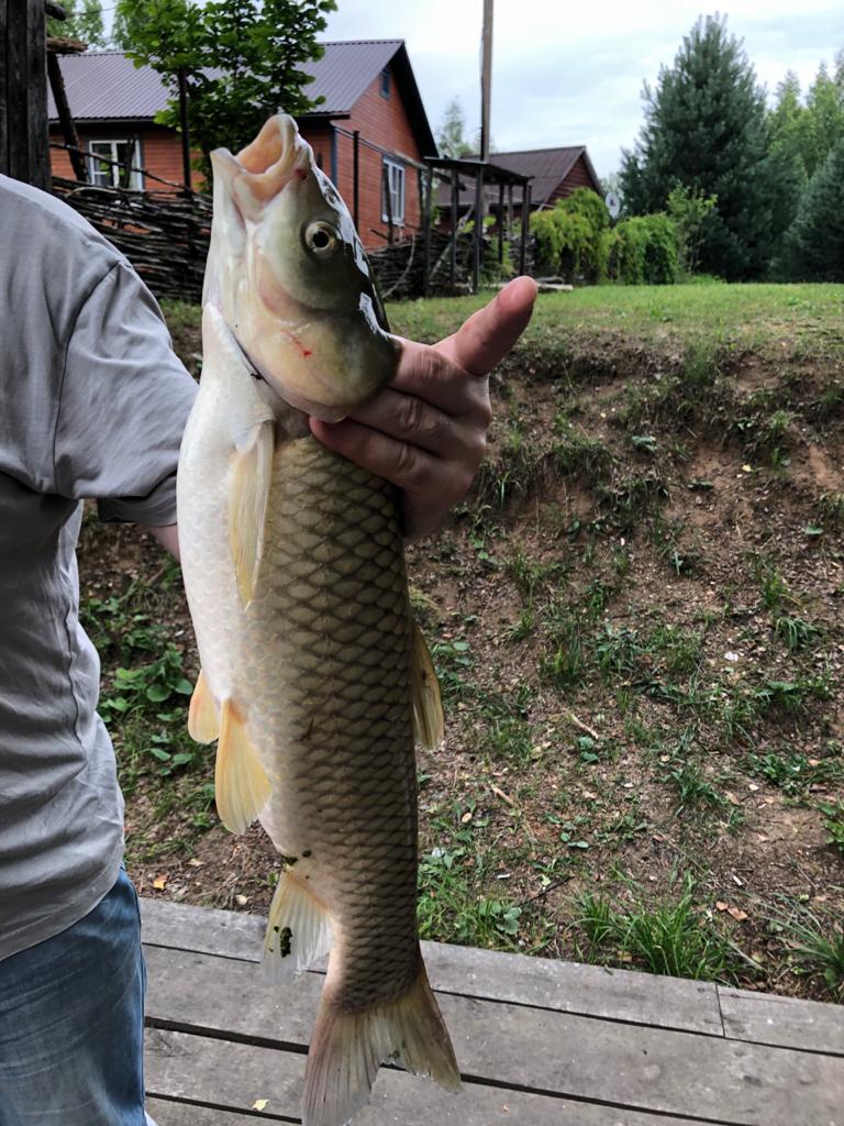 Фото Рыбацкое подворье Владимировка
