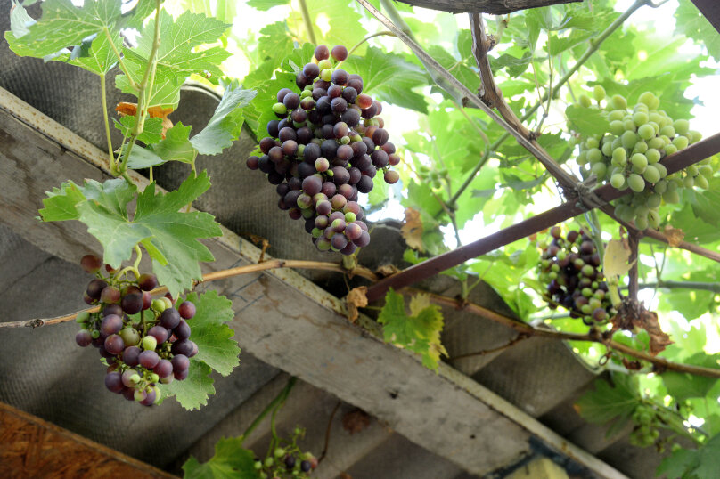 Фото Дольче Вита