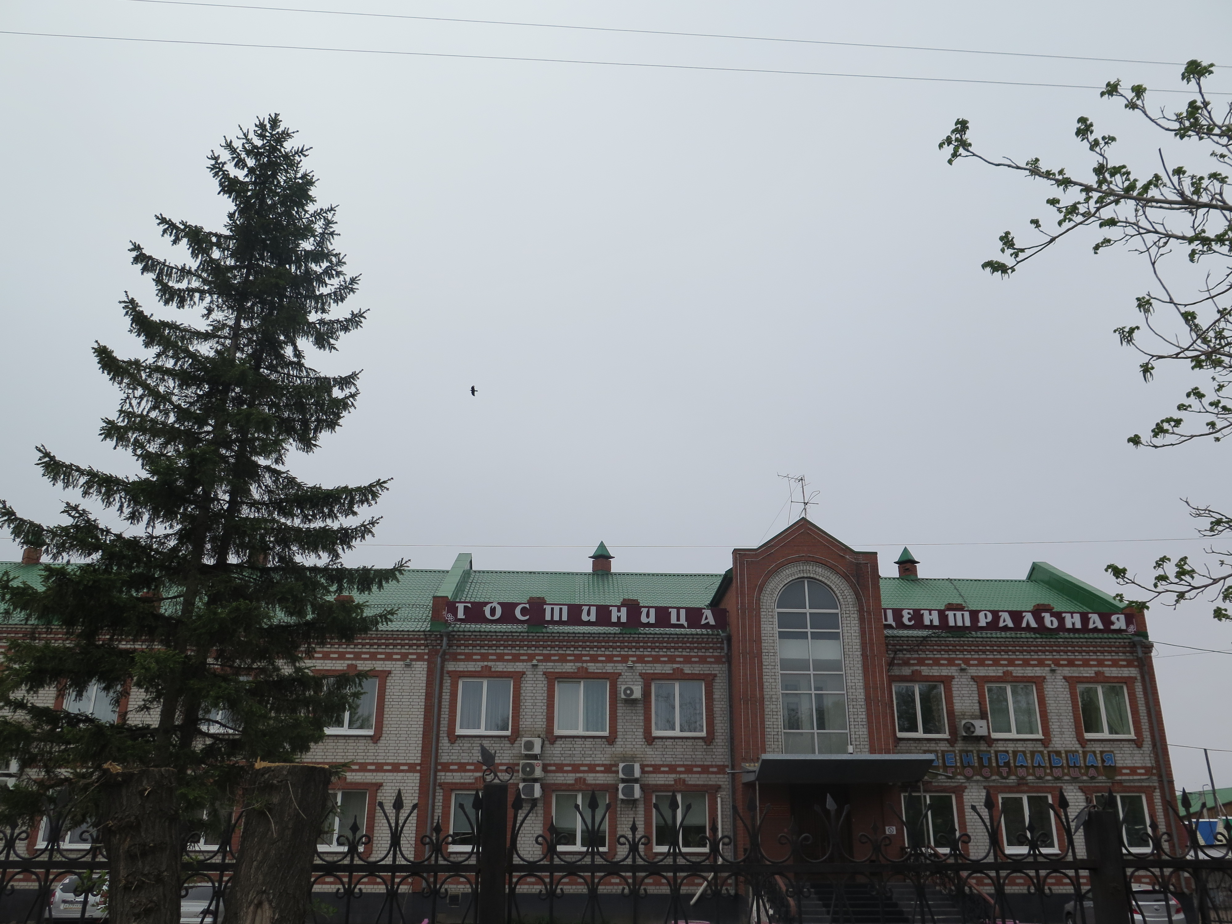 Фото Центральная