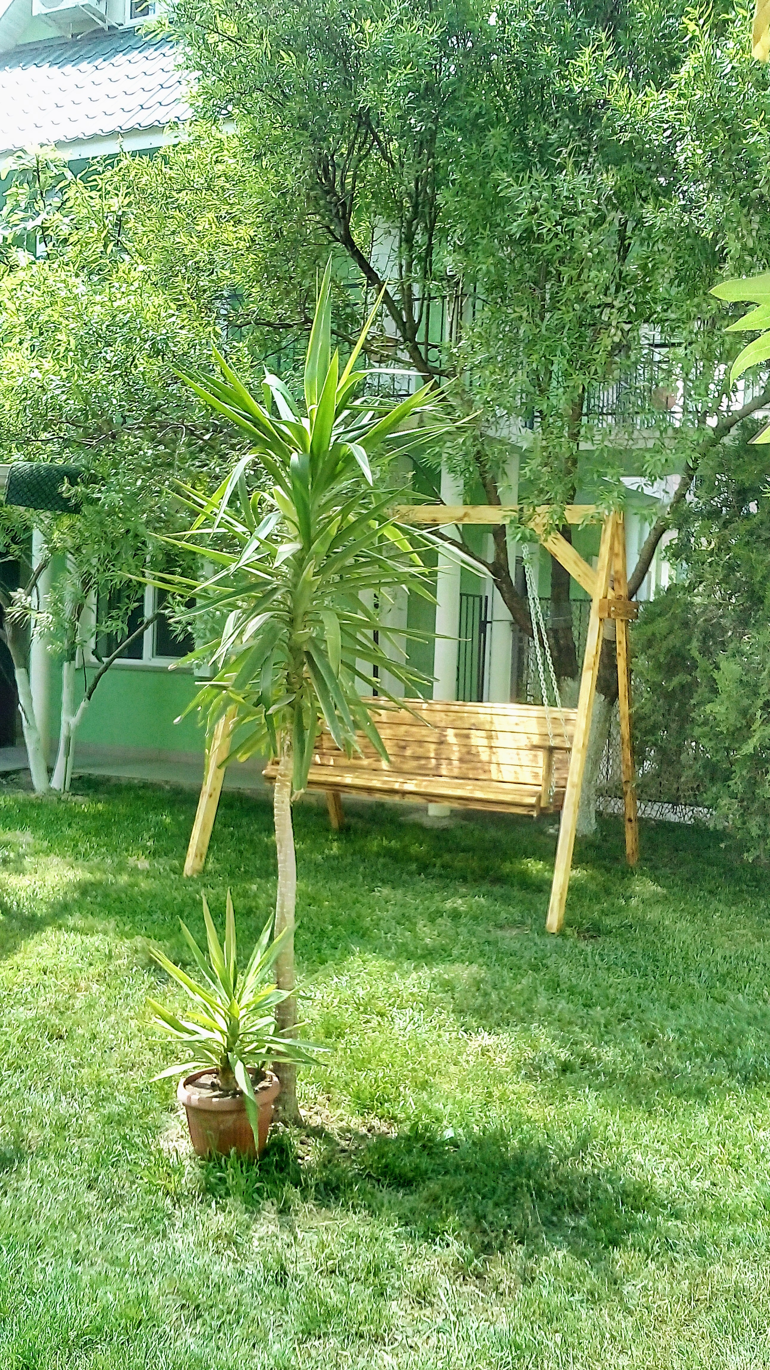 Фото Добрый шкипер