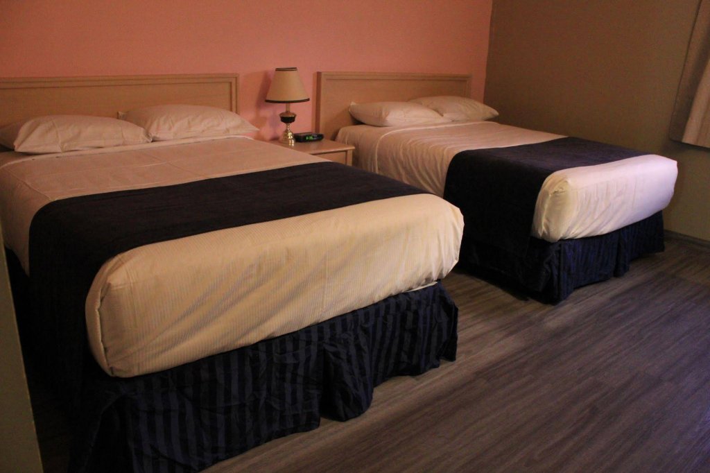 Фото 241553819836