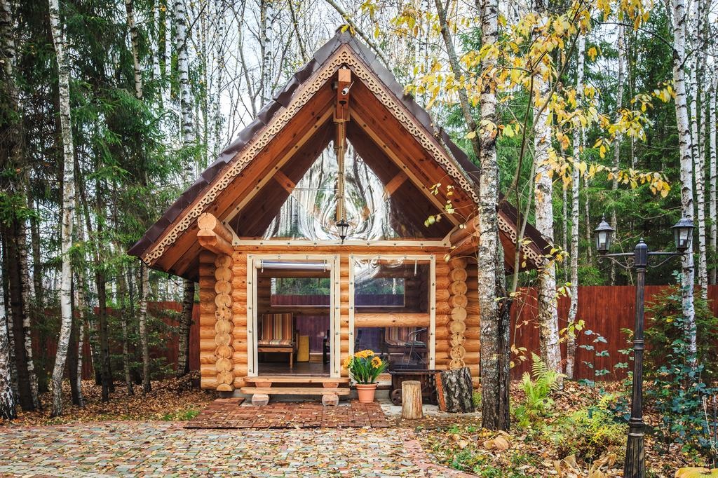 Фото Дикий Лис