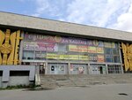 Дворец спорта профсоюзов (наб. Северной Двины, 38), спортивный комплекс в Архангельске