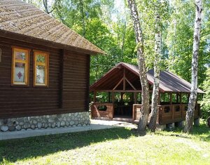 Чайка