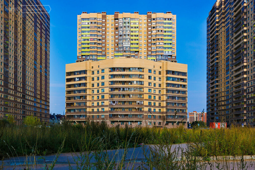 ����� ������ ��� ����