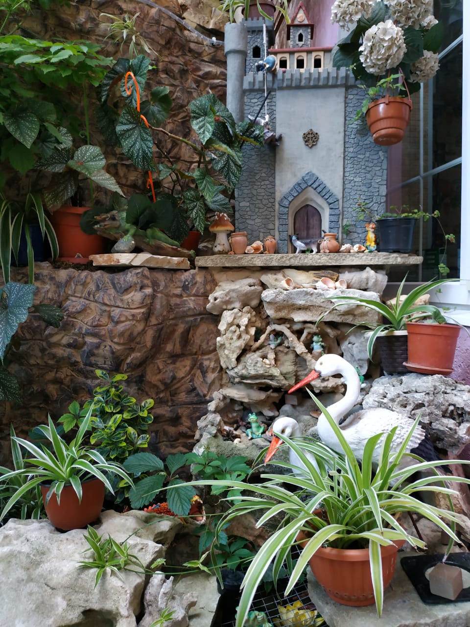 Фото У Людмилы