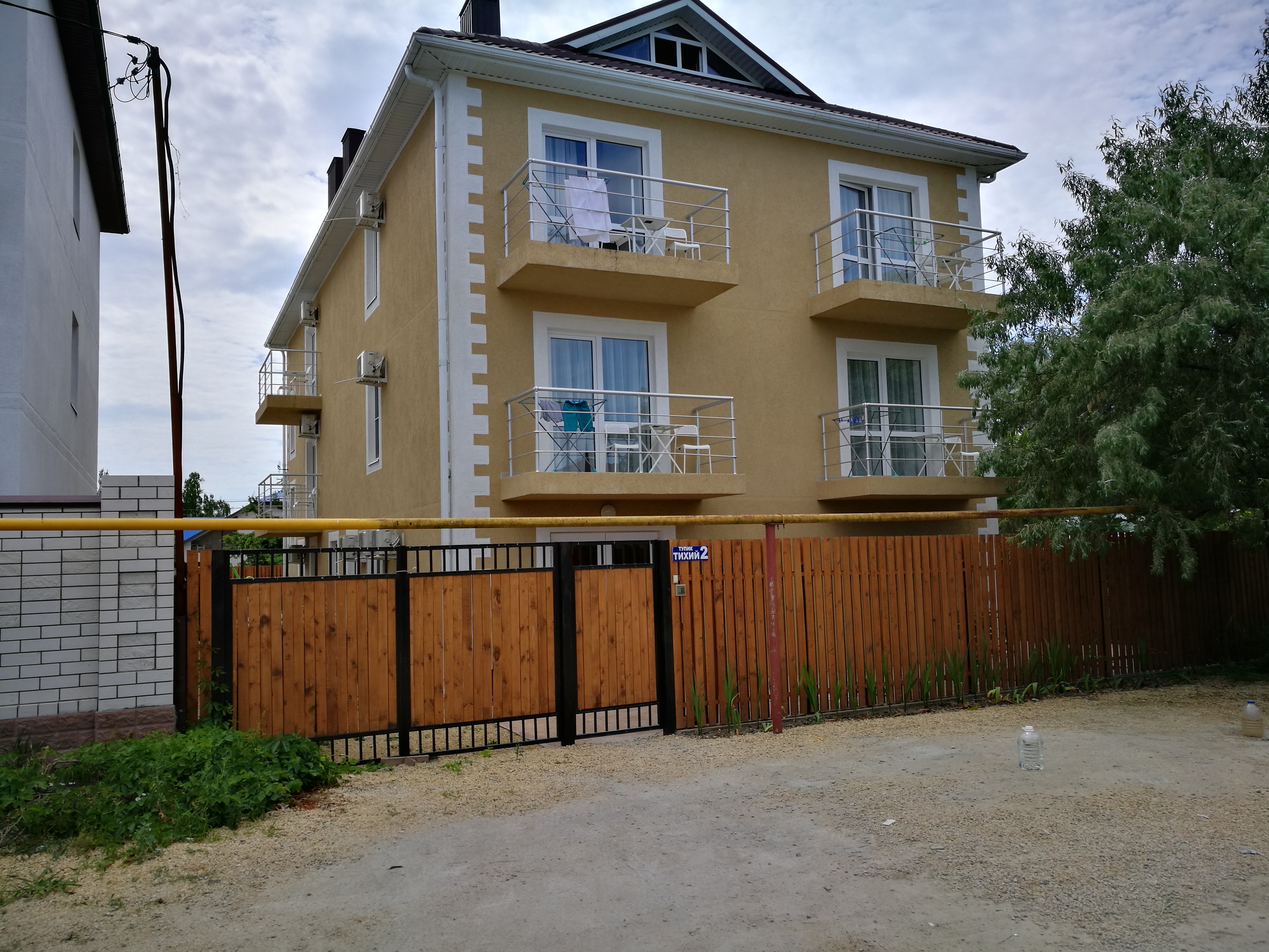 Фото Солнечная орхидея