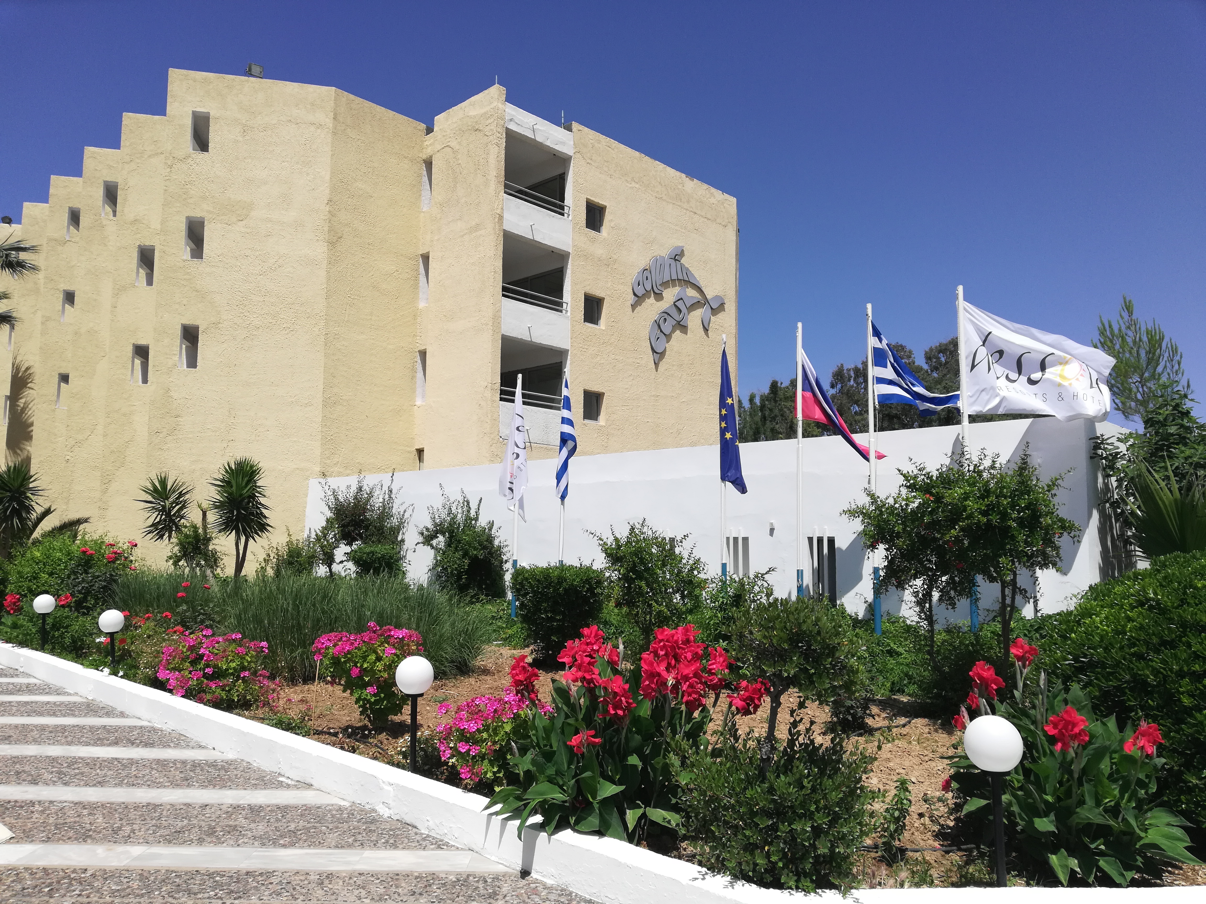 Фото Dolphin Bay