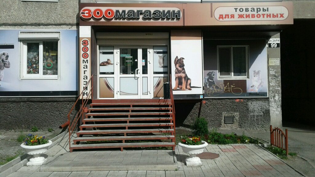 Зоомагазин Интернет Магазин Нижний Тагил